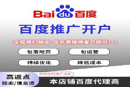 专业SEM服务公司案例分析报告